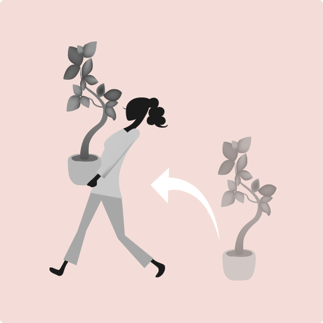 水やりのたびに鉢を運ぶ