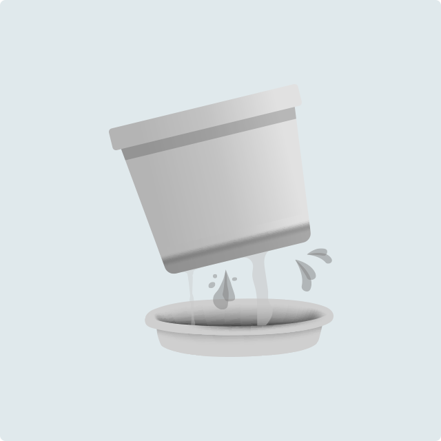 鉢皿に溜まった水の処理