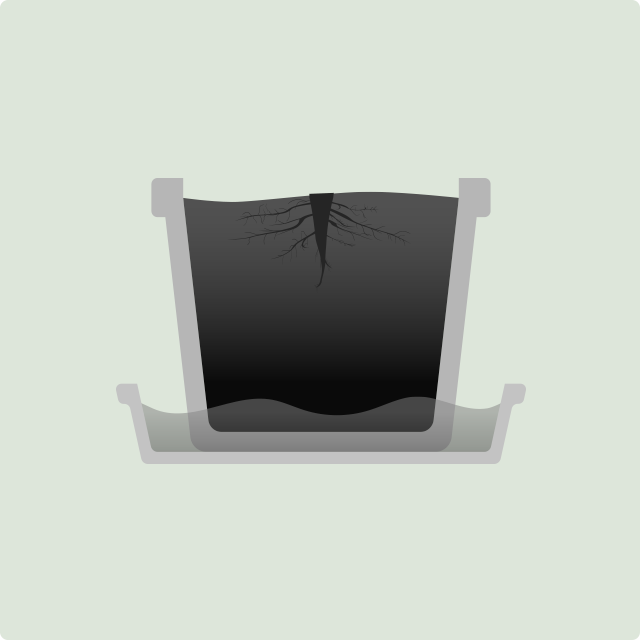 水が溜まったままによる悪影響