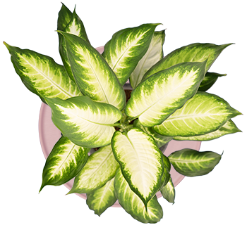 ポットキーパー