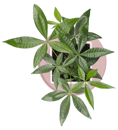 ポットキーパー